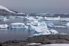 Iceberg-Sculpture-Garden.jpg