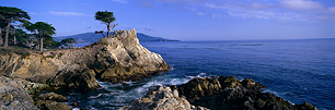 Lone-Cypress.jpg