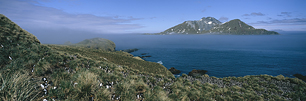 Macaroni-Penguin-Overlook.jpg