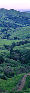 Meandering-Spring-Hills.jpg