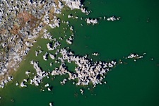 Mono-Lake-Abstract.jpg