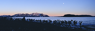 Moonset-Over-South-Georgia.jpg