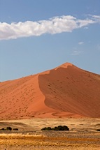 Namibian-Flowing.jpg