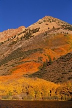 North-Lake-Color.jpg