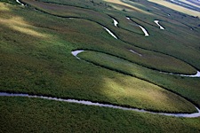 Okavango-Curves.jpg