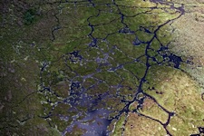 Okavango-Patchwork.jpg