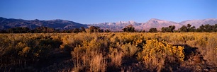 Owens-Valley-Springtime.jpg