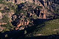 Pinnacles-Sunrise.jpg