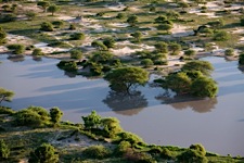 Soft-Light-on-the-Okavango.jpg