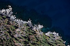 Tahoe-Shoreline-Texture.jpg