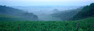 Tuscan-Sunrise.jpg