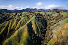 Wildflower-Coast-Aerial.jpg