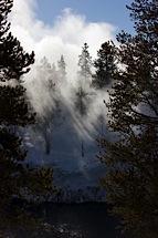 Yellowstone-Sonata.jpg